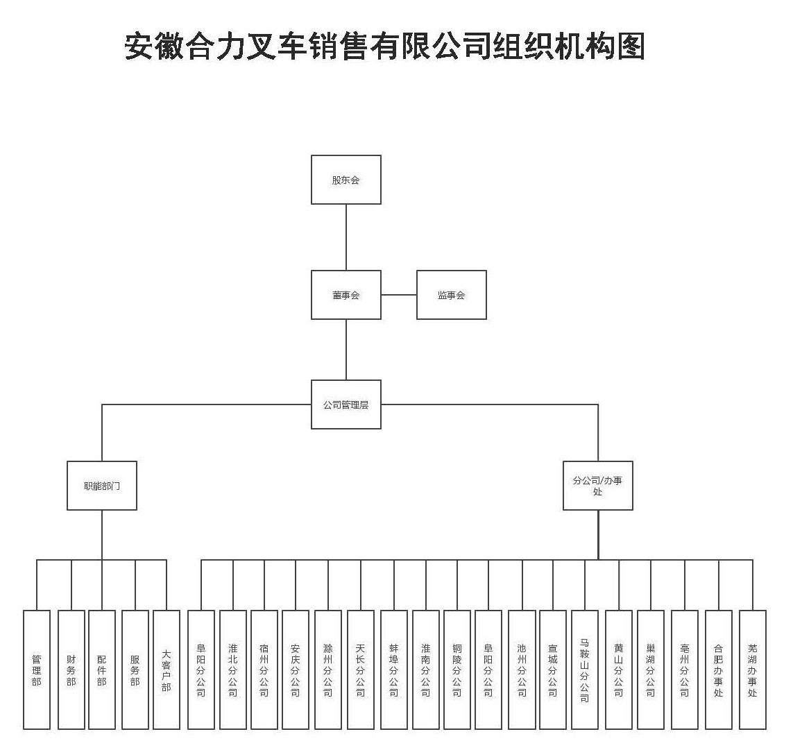 安徽尊龙凯时人生就是搏!销售组织机构图.jpg